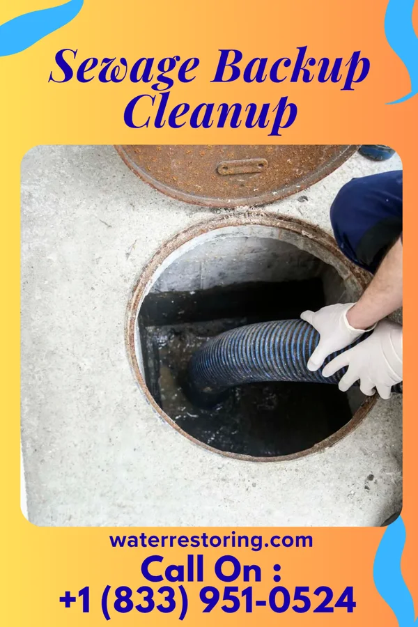 Sewage Backup Cleanup in Quiogue, NY