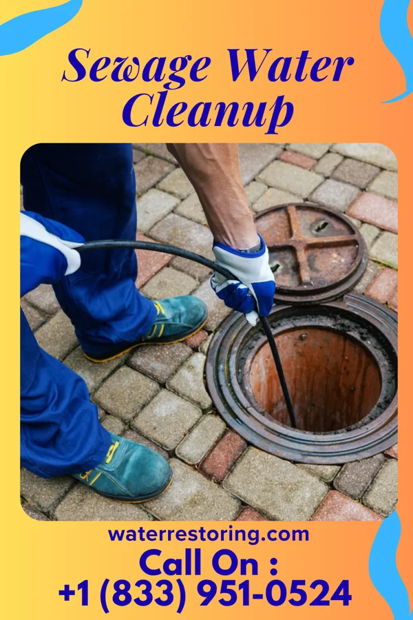 Sewage Water Cleanup in Quiogue, NY